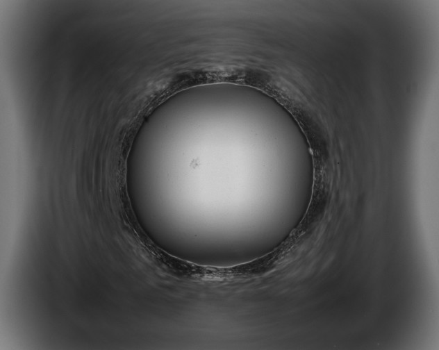 X0000086290961200704131544