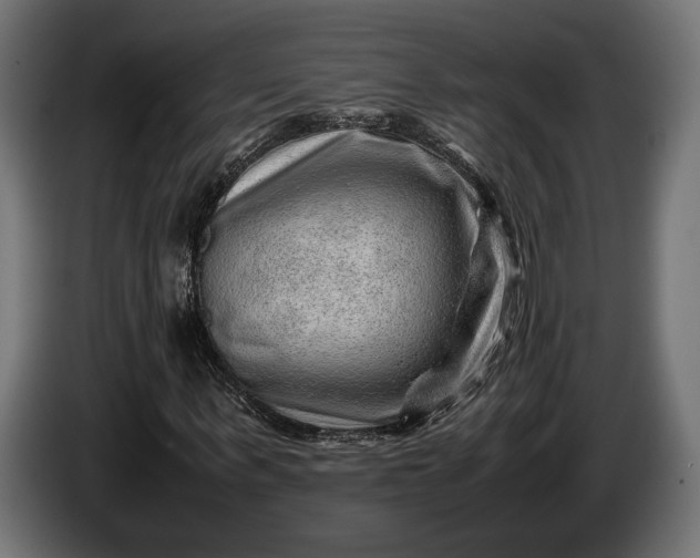 X0000086290963200704131544