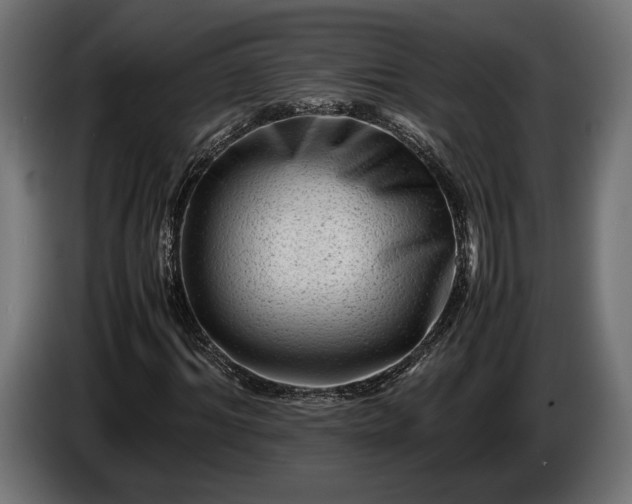 X0000086290964200704131544