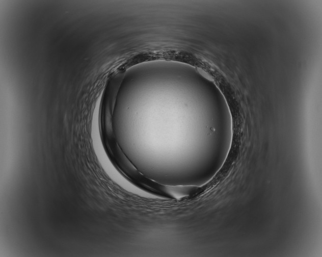 X0000086290965200704131544