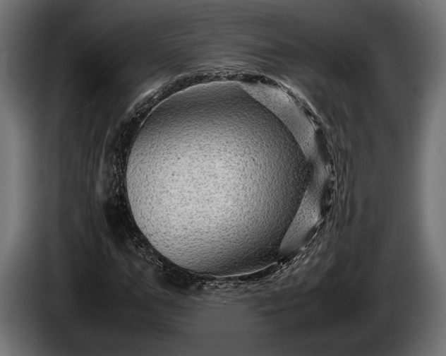 X0000086290967200704131544