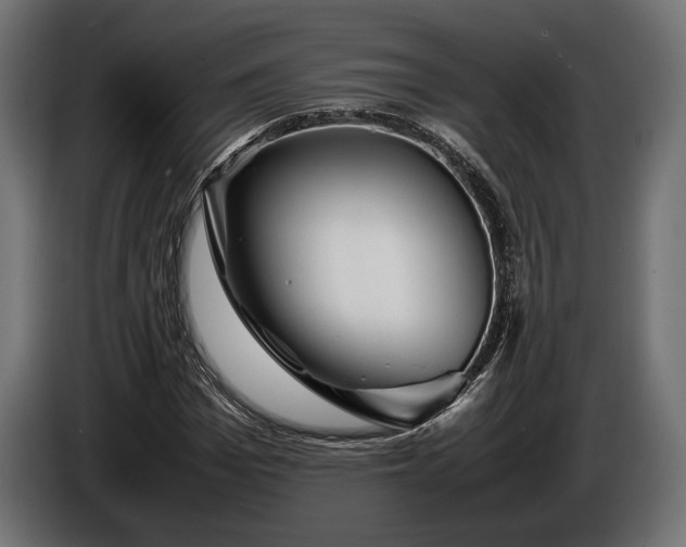 X0000086290969200704131544