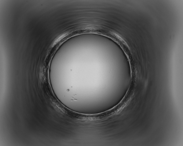 X0000086290970200704131544