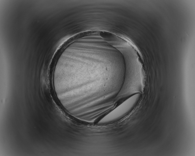 X0000086290972200704131544