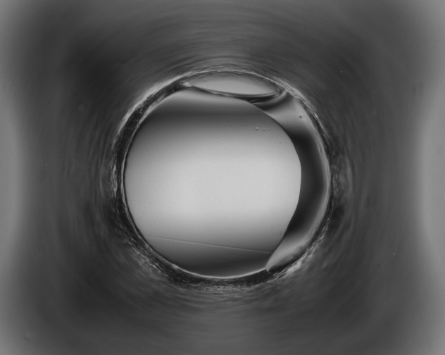 X0000086290973200704131544