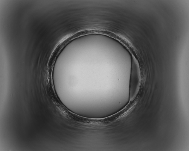 X0000086290974200704131544