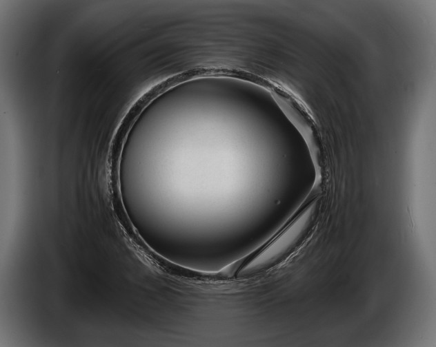 X0000086290976200704131544