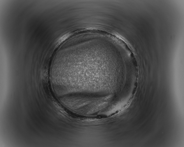 X0000086290977200704131544