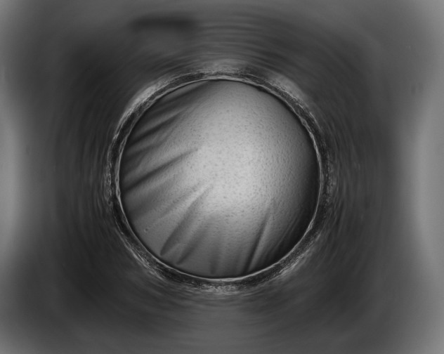 X0000086290978200704131544