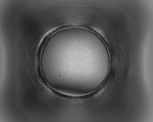 X0000086290979200704131544