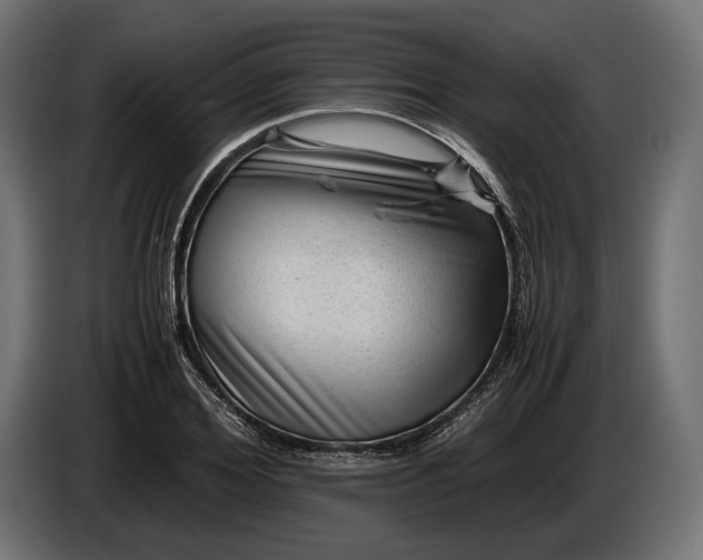 X0000086290980200704131544