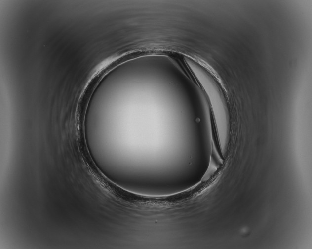 X0000086290981200704131544