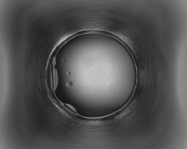 X0000086290982200704131544