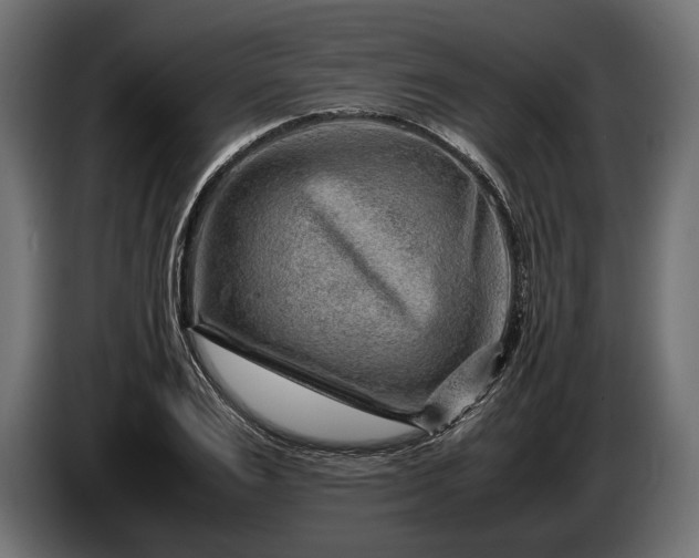 X0000086290983200704131544