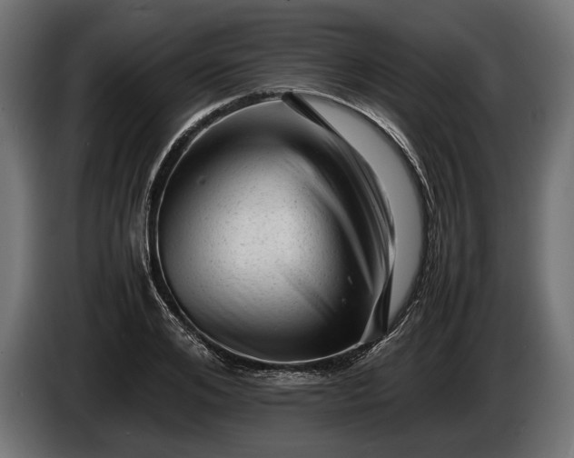 X0000086290984200704131544