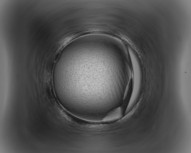 X0000086290985200704131544