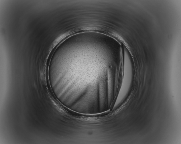 X0000086290986200704131544