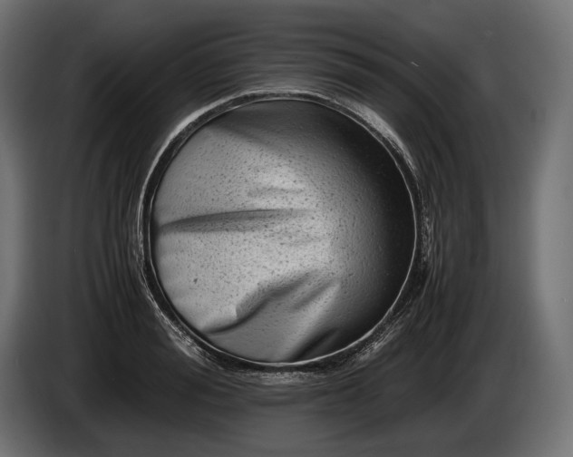 X0000086290988200704131544