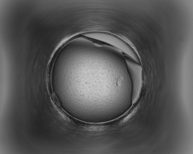 X0000086290989200704131544