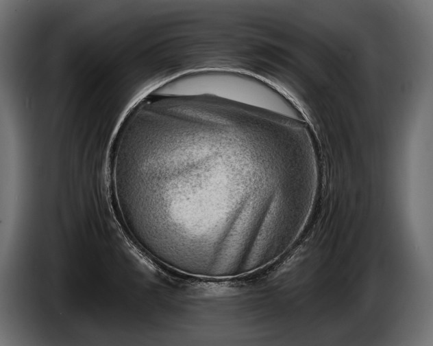 X0000086290990200704131544