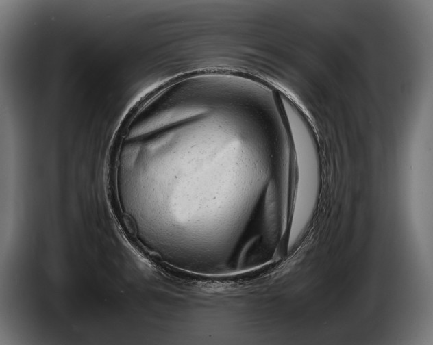 X0000086290991200704131544