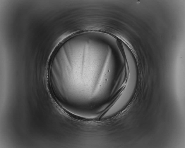 X0000086290992200704131544