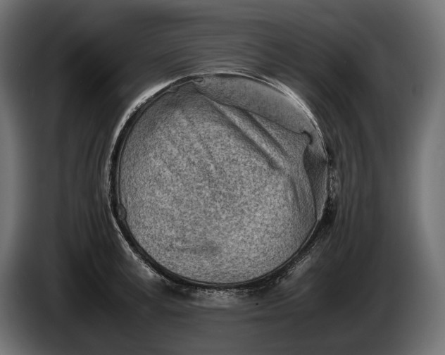 X0000086290995200704131544