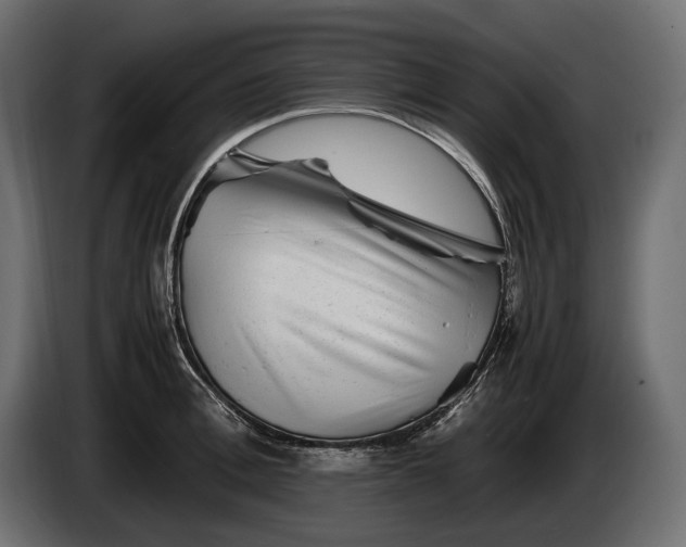 X0000086290996200704131544