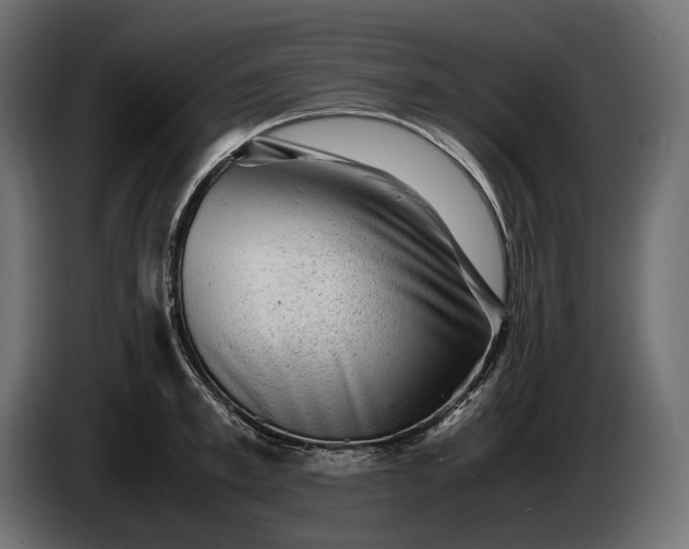 X0000086290997200704131543
