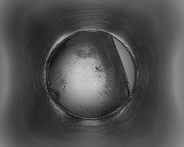 X0000086290998200704131543