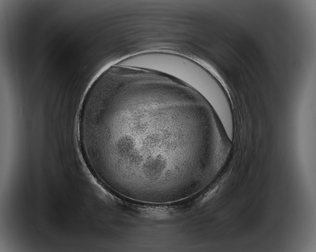 X0000086290999200704131543