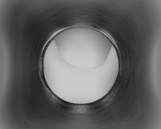 X0000086291000200704131543