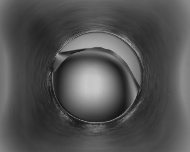X0000086291001200704131543