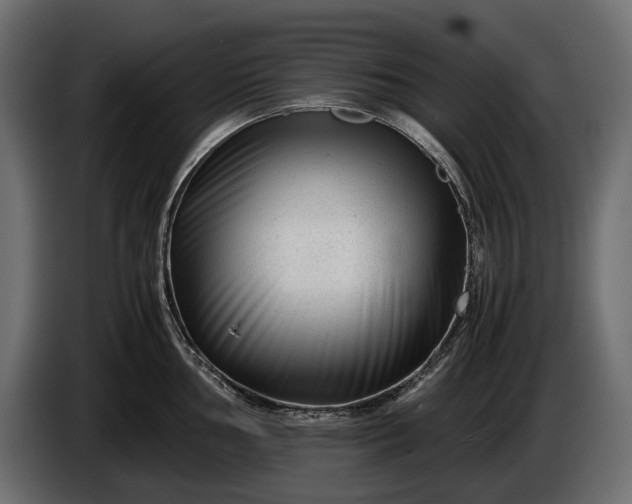 X0000086291002200704131543