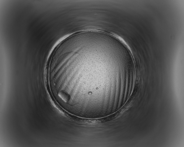 X0000086291003200704131543