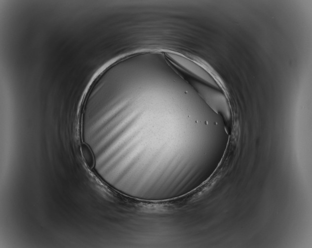 X0000086291004200704131543