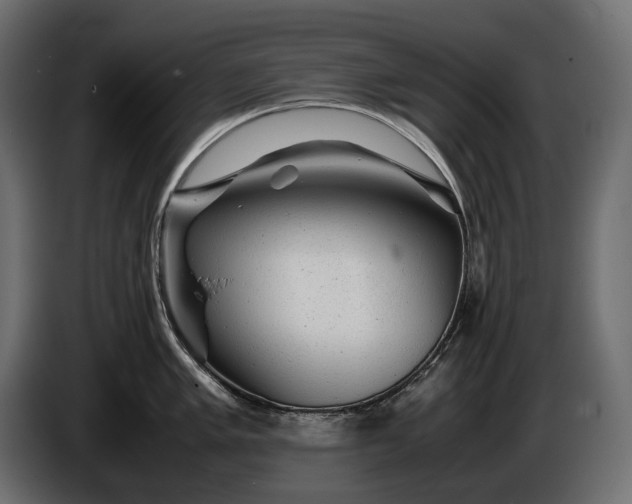 X0000086291005200704131543