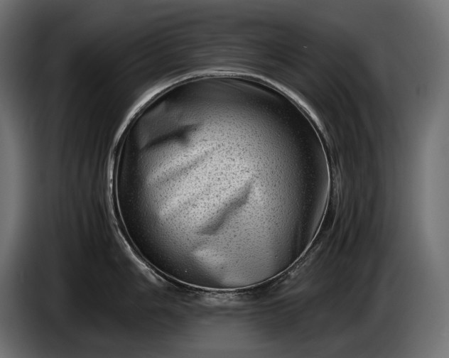 X0000086291006200704131543