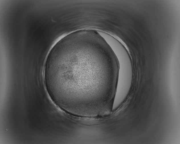 X0000086291007200704131543