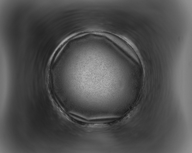 X0000086291008200704131543