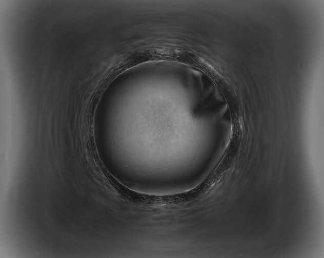 X0000086291009200704131543
