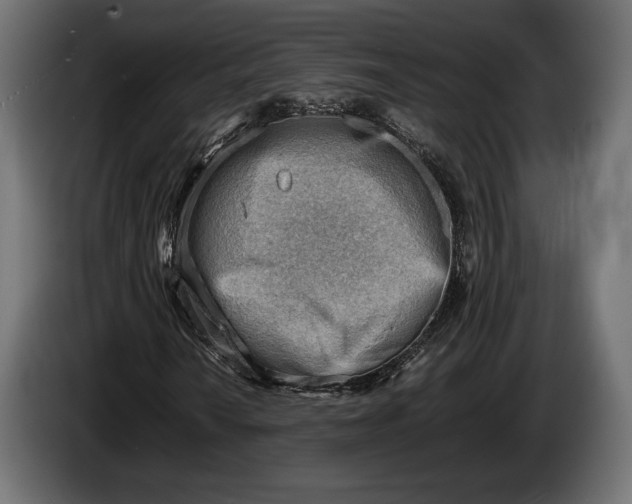 X0000086291010200704131543