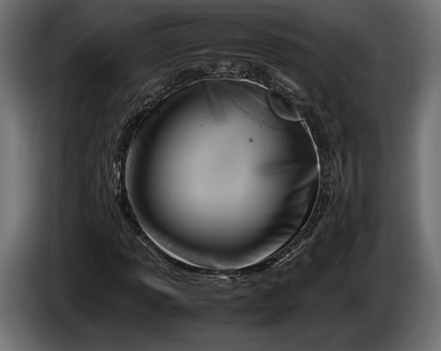 X0000086291013200704131543