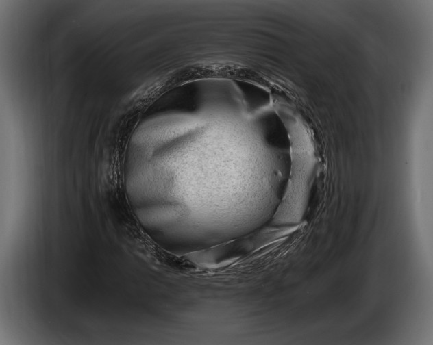 X0000086291014200704131543