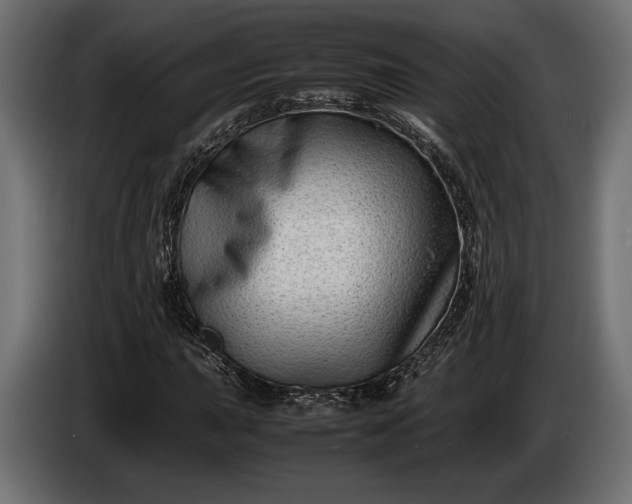 X0000086291015200704131543