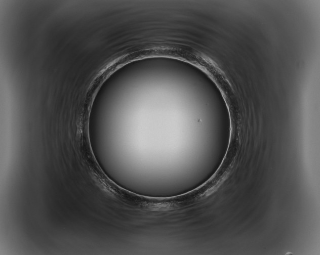 X0000086291017200704131543