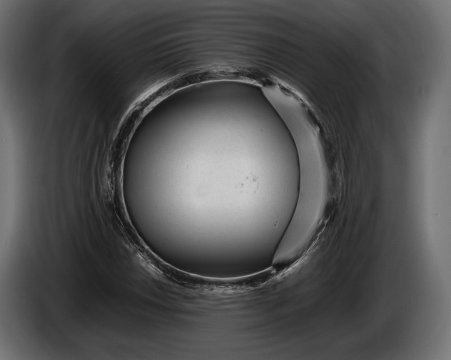 X0000086291018200704131543