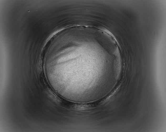 X0000086291019200704131543