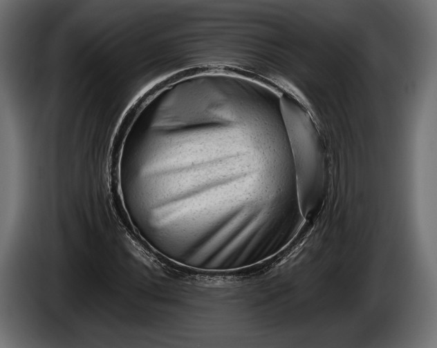 X0000086291020200704131543