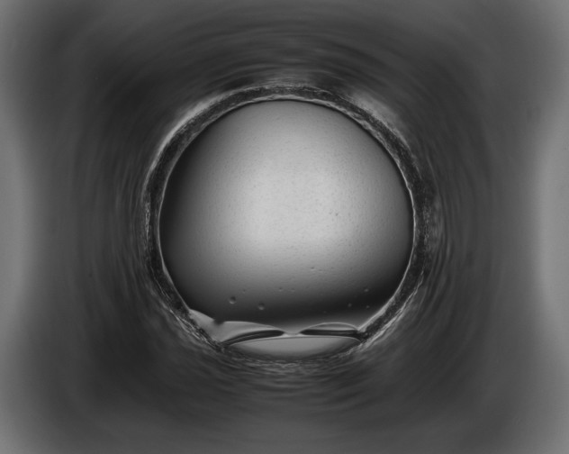 X0000086291021200704131543